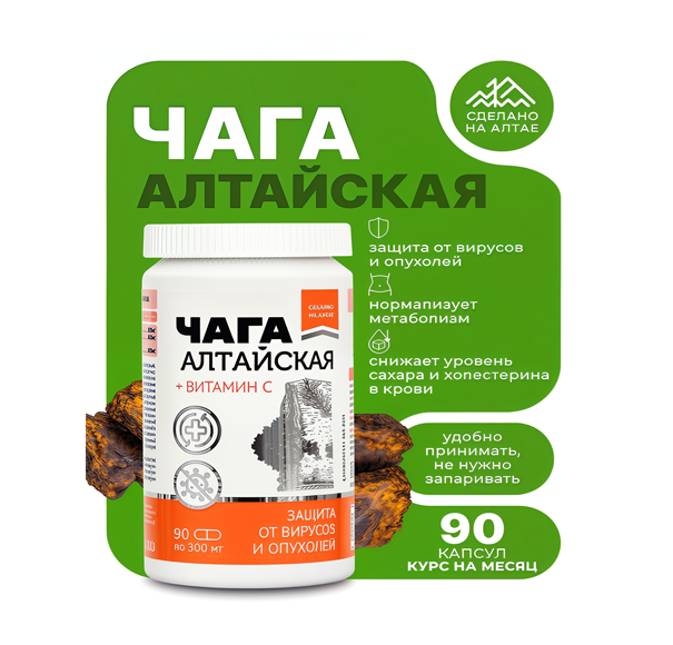 Huş Ağacı Chaga