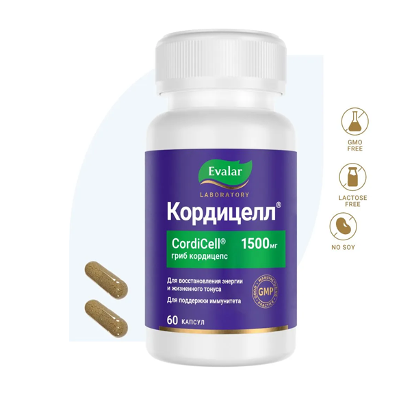 Kordiseps 2