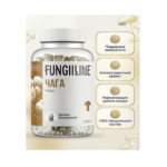 Orijinal Chaga (Çaga) Mantarı