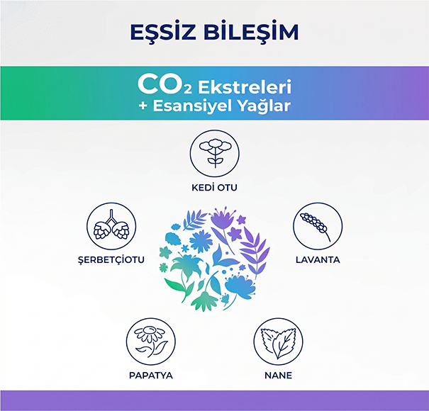 Sedaten Kapsül Stres ve Uyku 3