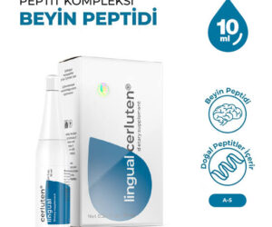 Cerluten (A-5) Peptit ( Cerluten Lingual)
